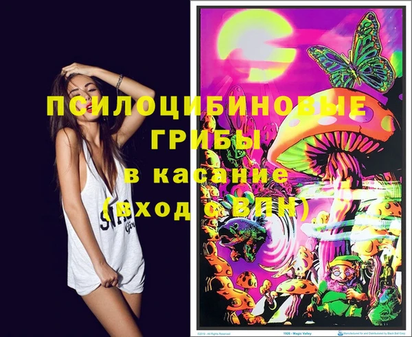 бошки Верея