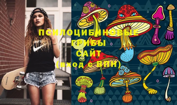 бошки Верея