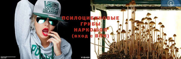 бошки Верея